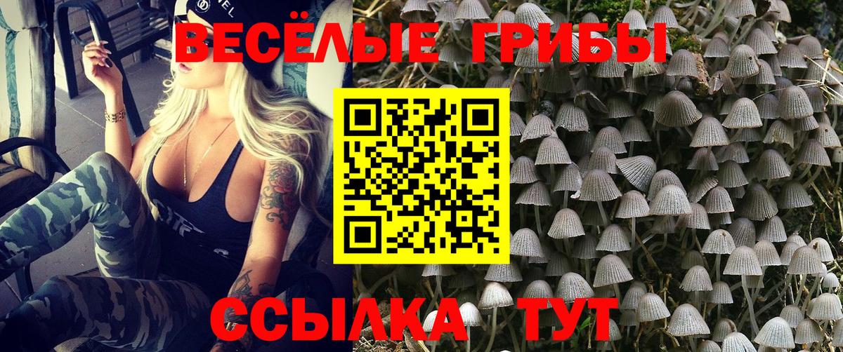 Галлюциногенные грибы GOLDEN TEACHER  Вход с VPN  Чебоксары 